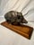 Vintage, French, Bronze, Boar Sculpture, Wood Mounted For Sale - Image 4 of 8