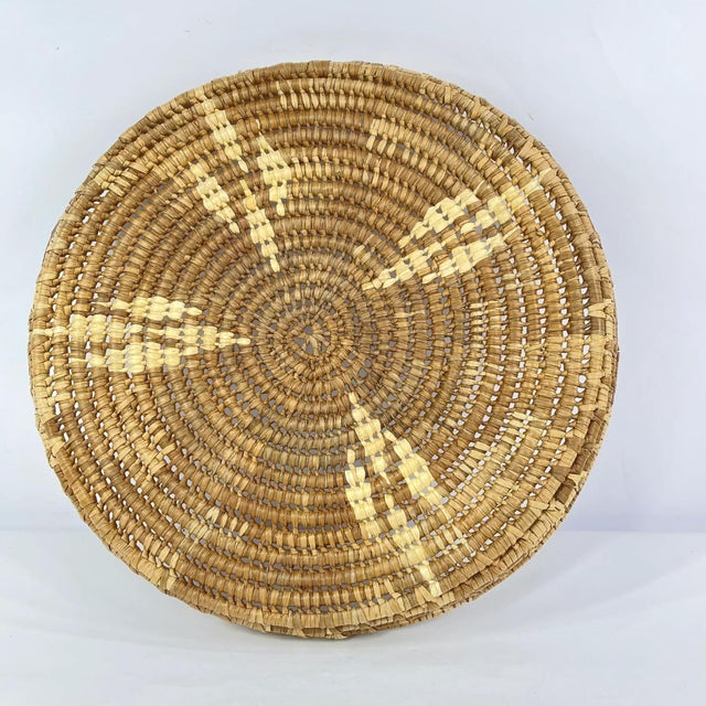 Early 20th Century Botswana Basket 17inch MATTER COLLECTION For Sale - Image 4 of 6