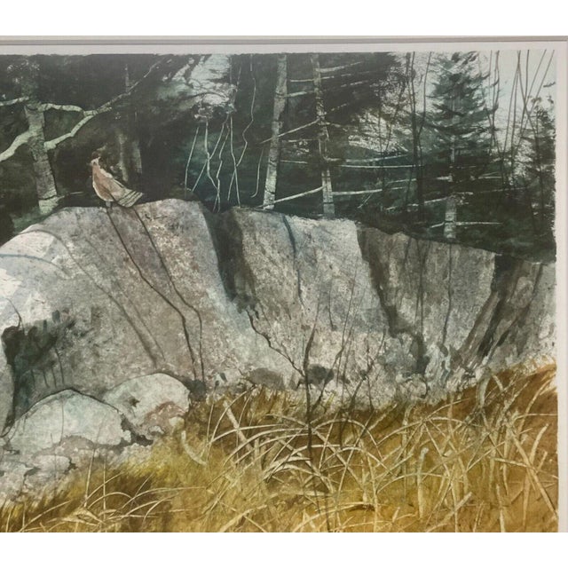 Paper Vintage Valfred Thelin 'grouse on a Rock' Maine Landscape' Painting - Listed For Sale - Image 7 of 11