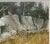 Paper Vintage Valfred Thelin 'grouse on a Rock' Maine Landscape' Painting - Listed For Sale - Image 7 of 11