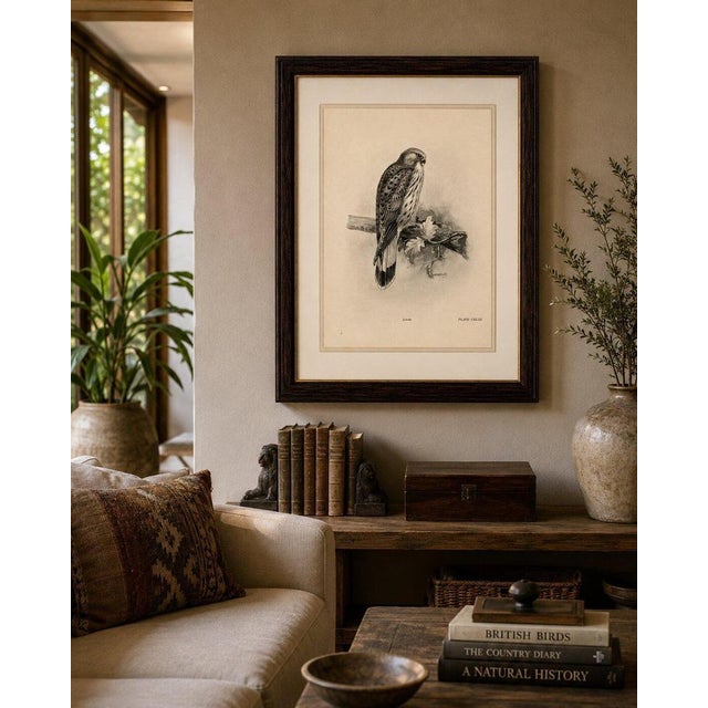 Paper Lilian M. Medland, Common Kestrel, 1908, Monochrome Ornithological Plate For Sale - Image 7 of 9