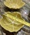 Mid-Century Modern Vintage Mid-Century Modern Pinzon Pottery Stacking Cabbage Bowls - Set of 3 For Sale - Image 3 of 7