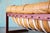 Percival Lafer Mp-91 Sofa: Jatoba Wood & Caramel Leather, Mid-Century Modern For Sale - Image 12 of 15