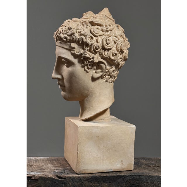 This vintage plaster portrait bust, executed in a Neoclassical Greek style, portrays a youthful male figure distinguished...