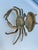 Mid 20th Century Brass Articulate Crab Ashtray Catch All For Sale - Image 4 of 6