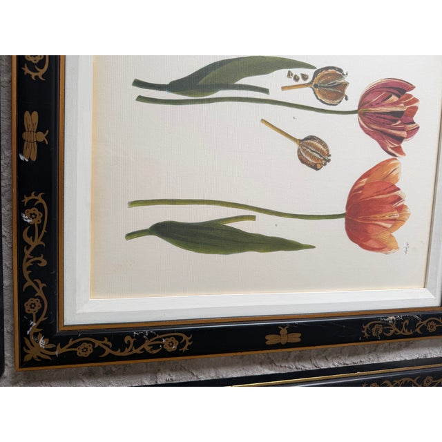 Shabby Chic 1990s Tulip Mania Set of Four Botanical Lithograph Prints From Scully & Scully in Black/Gold Scroll Frames - Set of 4 For Sale - Image 3 of 18