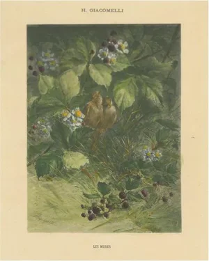 Giacomelli, Sparrows Amidst Blackberry Bushes, 1891, Print