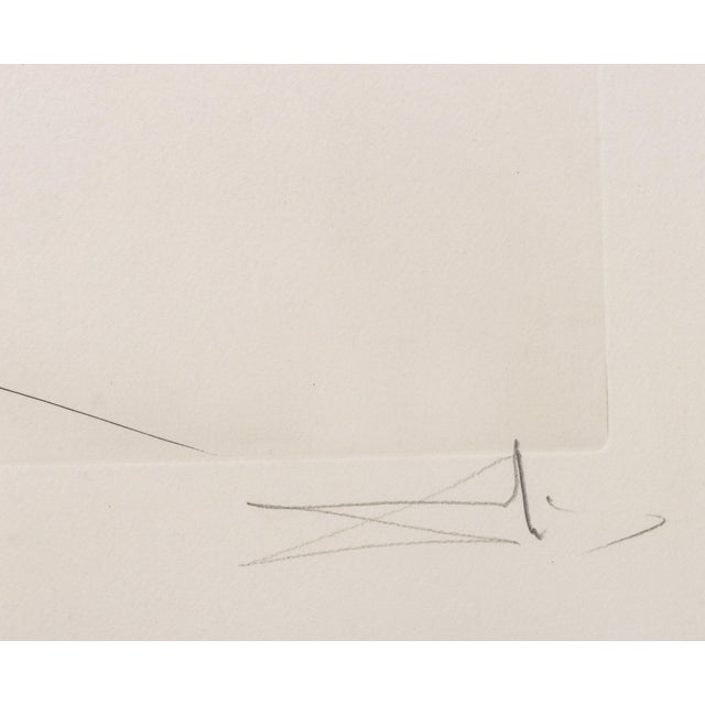 Red Salvador Dali "Dahlia (Fingers)" Etching, 1972 For Sale - Image 8 of 12