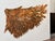 Modern Alissa Madden Design Outstretched Wings on Canvas, Signed For Sale - Image 3 of 16