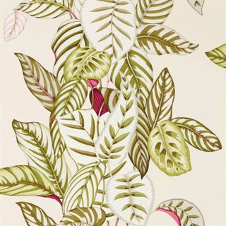 Sanderson Calathea Wallpaper in Olive For Sale
