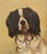 A deeply expressive portrait of a beloved spaniel, with its graceful profile and gentle expression. Oil painting on...