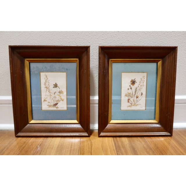 Wood Vintage Erika Originals Swiss Pressed Botanical Flower Art, Pair — Matted & Framed Alpine Wildflowers For Sale - Image 7 of 10