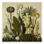 Dark Green Antique Botanical Garden Study No. 14 - Natural History Fine Art Print For Sale