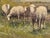 Late 19th Century A. Millrose Pastoral Landscape Oil Painting With Sheep, C. 1880–1900 For Sale - Image 4 of 9