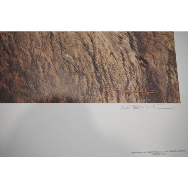 Paper Carl Brenders "Rocky Kingdom - Bighorn Sheep" Signed Limited Edition Lithograph, 1992 For Sale - Image 7 of 10