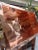 2020s Undermount Copper Sink With Brass Drain For Sale - Image 5 of 6