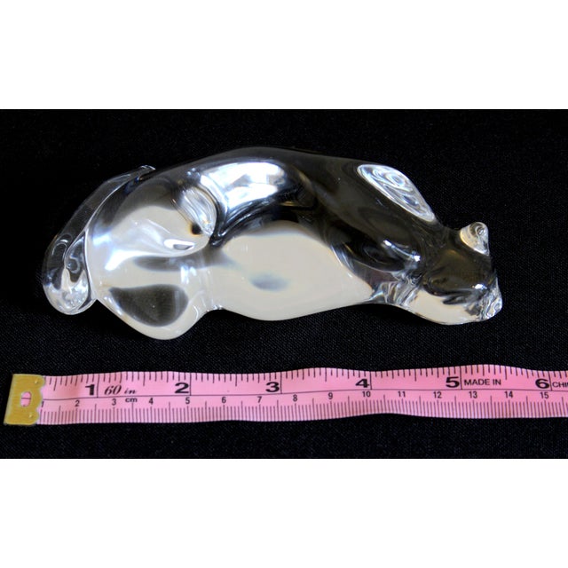 Vintage Steuben Crystal "Roman Cat" Hand Cooler Paperweight by Susan Smyly, Signed, 1979 For Sale - Image 10 of 10