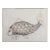 1970s "Fish" Etching by Rita Simon (Atirnomis) For Sale