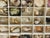 Antique Sea Shell Collection in Original Box For Sale In Miami - Image 6 of 6