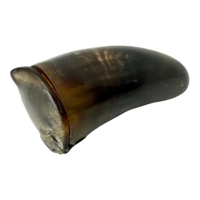 19th Century Scottish Horn Snuff Mull For Sale