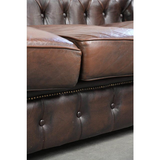 English Style Brown Cowhide Chesterfield 3-Seater Sofa For Sale - Image 11 of 12