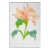 Contemporary Peach Lily Watercolor Painting For Sale