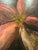 Abstract Vintage Luca Bellandi Canvas - Limited Edition For Sale - Image 3 of 7