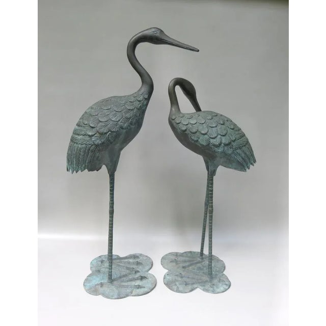 A pair of sculptures "Cranes" from the 70s in bronze green patina. The pair of sculptures can also be used in the garden....