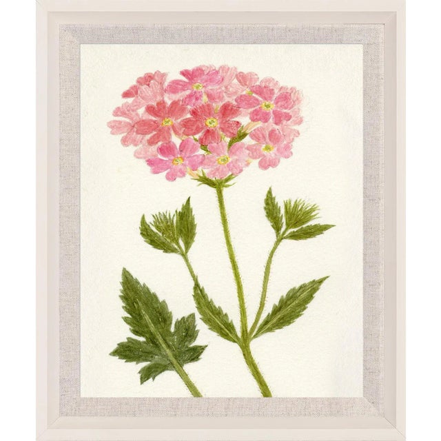 Soft lines, bright colors and neutral backgrounds accentuate the delicate details found in this collection sourced from...