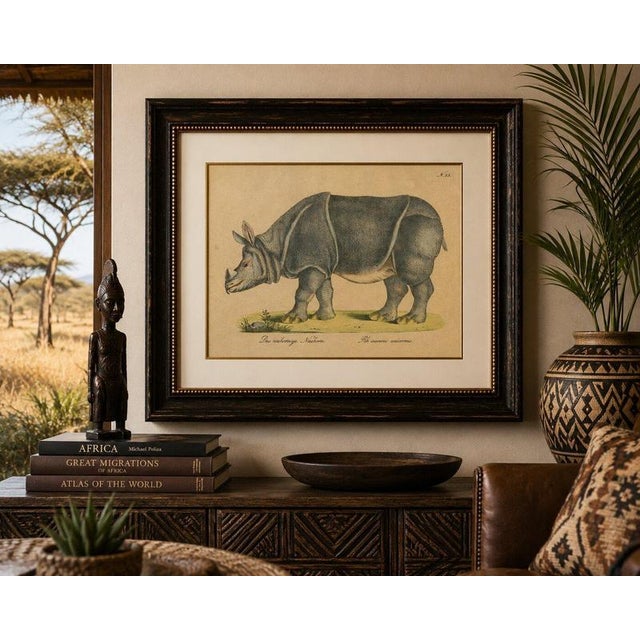 Paper Brodtmann, Indian Rhinoceros (Rhinoceros Unicornis), 1816, Lithograph For Sale - Image 7 of 9