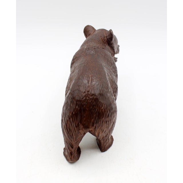 Rustic Circa 1900 Swiss Small-Medium Size Strolling Black Forest Bear For Sale - Image 3 of 6