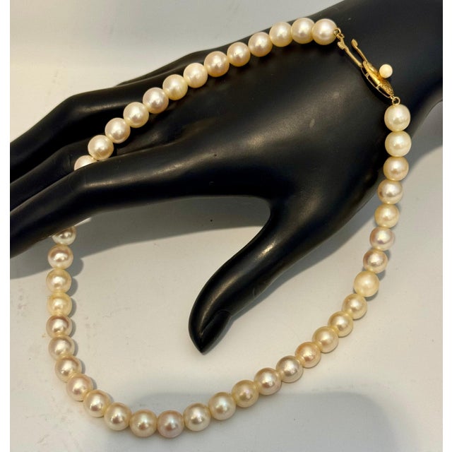 2010s Vintage Cultured Akoya Pearl Necklace Length 14" , 18 Karat Yellow Gold Clasp For Sale - Image 5 of 18