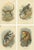Lloyd, Guenon Monkey Species, 1890s, Paper, Set of 4 For Sale - Image 6 of 6
