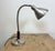 Vintage Gooseneck Table Lamp, 1950s For Sale - Image 12 of 18