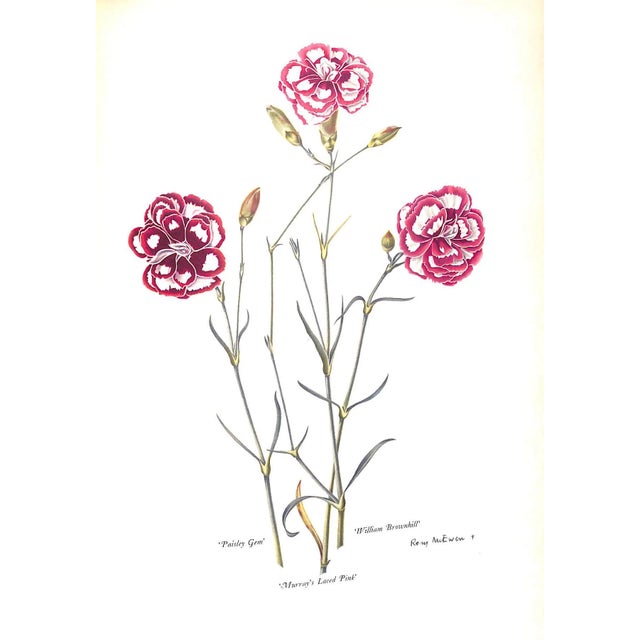 "Old Carnations & Pinks" 1955 Moreton, C. Oscar For Sale In New York - Image 6 of 11