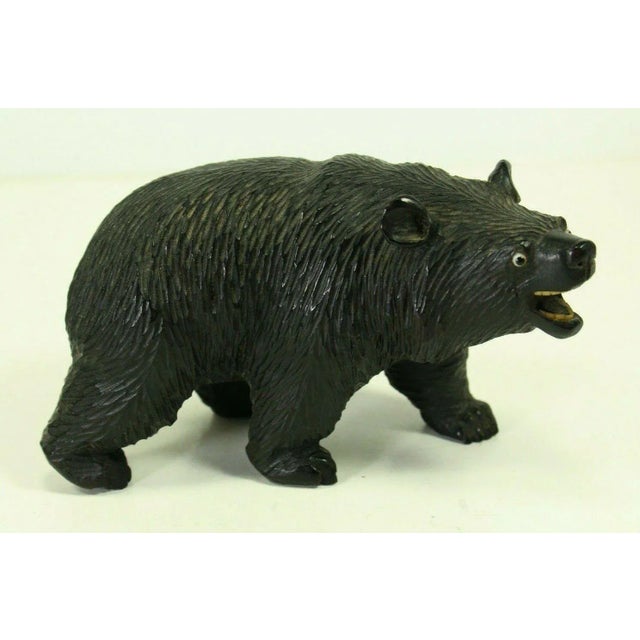 19th Century Black Forest Carved Wood Figurine of a Bear With Glass Eyes For Sale - Image 13 of 13