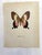 Up for sale is this gorgeous lithograph by F. Prochazka, published in Great Britain in 1965. It is in excellent, gently-...