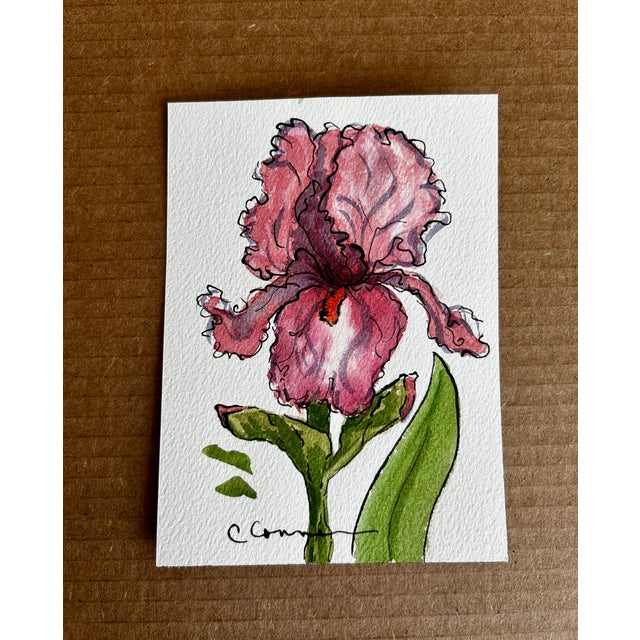 Giclee print of a Watercolor painting with ink. This ink and wash is of my flower farm pink bearded Iris. Approximately 5x...