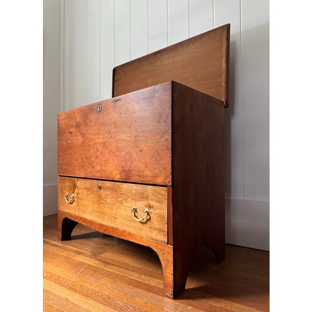 19th Century Early American Mule Chest For Sale - Image 11 of 11