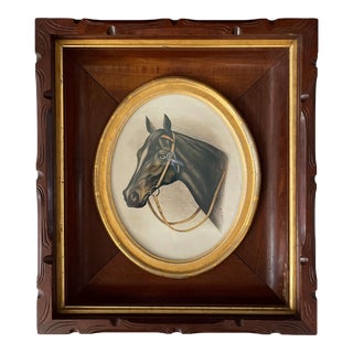 Early 20th Century Antique Framed Portrait of a Horse For Sale