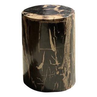 Side Table in Black Petrified Wood with Beige Striations and a Circular Arc For Sale