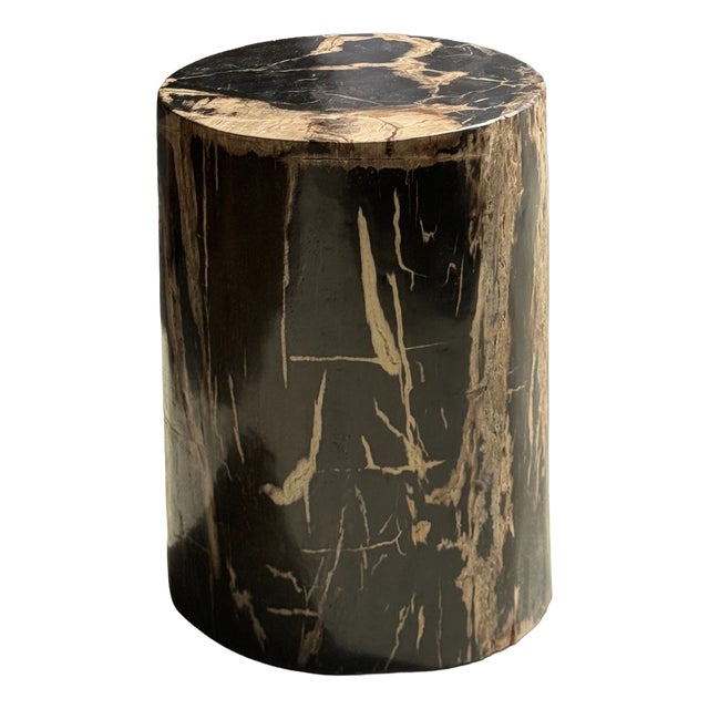 Side Table in Black Petrified Wood with Beige Striations and a Circular Arc For Sale