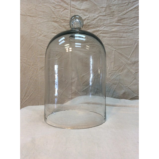 1800s French Glass Dome, Cloche With Solid Glass Knob Handle For Sale - Image 4 of 12
