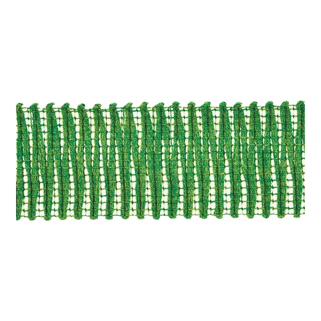 Sample - Schumacher Pierce Tape Indoor & Outdoor in Green For Sale