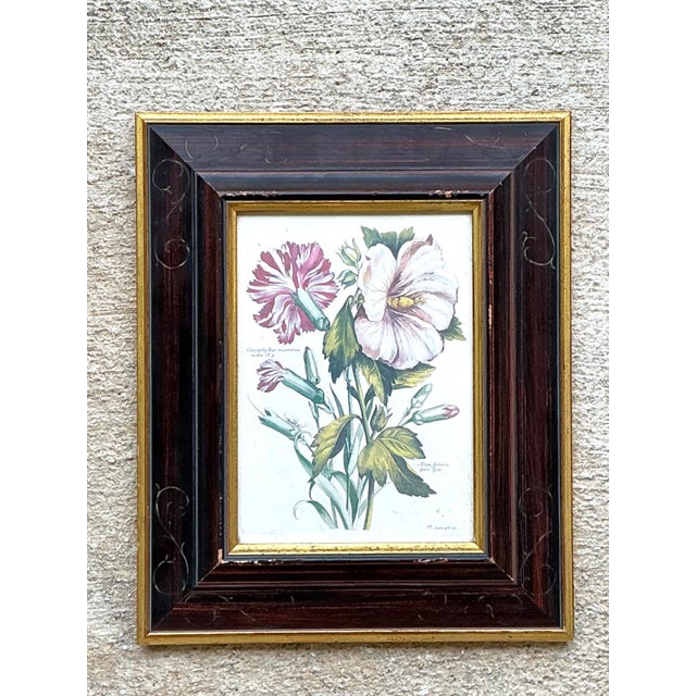 Vintage Chelsea House Botanical Floral Print in Wood Frame For Sale - Image 10 of 12