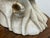 Handmade Carved Wood Cockatoo Sculpture For Sale - Image 9 of 12