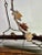 Copper Wrought Iron Pot Rack With Grapevine Design, Distressed Finish For Sale - Image 8 of 10
