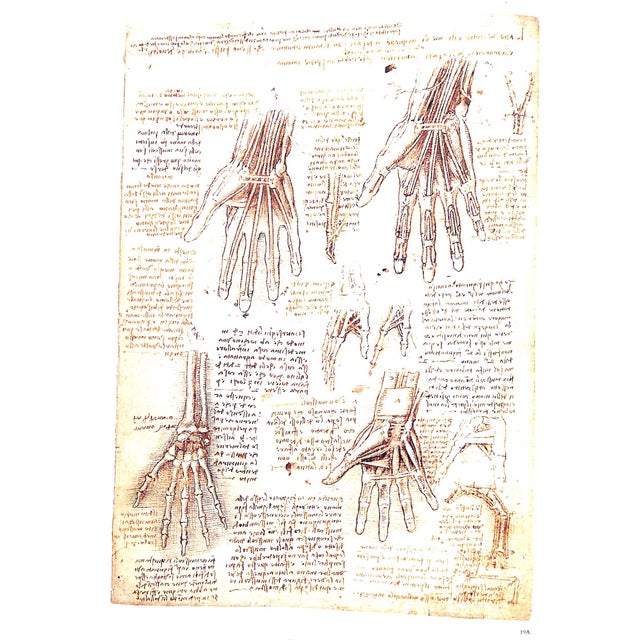 "Leonardo Da Vinci the Anatomy of Man" 1992 Clayton, Martin For Sale In New York - Image 6 of 7