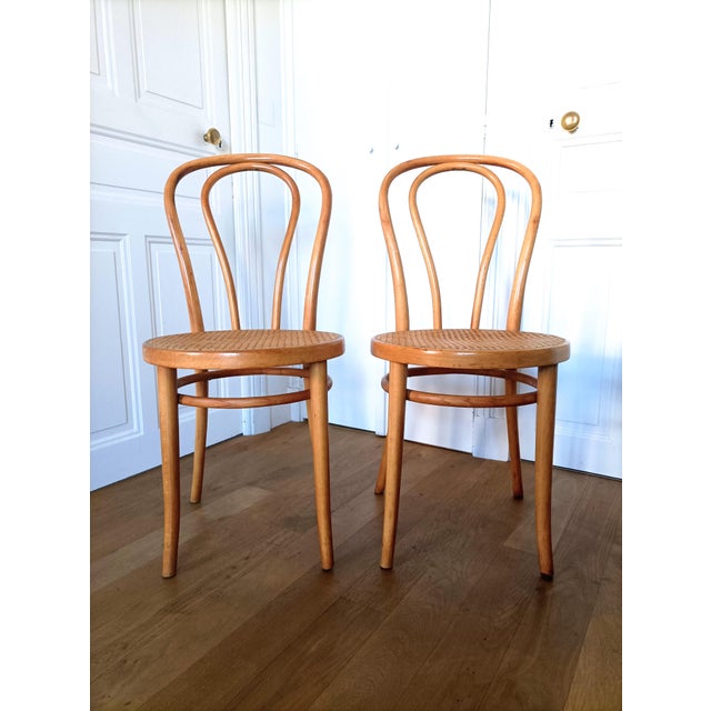 Bistro Chairs in Bent Beechwood by ZPM Radomsko for Thonet, 1960s, Set of 2 For Sale - Image 14 of 14