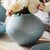 Kenneth Ludwig Chicago Miro Vase Medium For Sale - Image 4 of 6